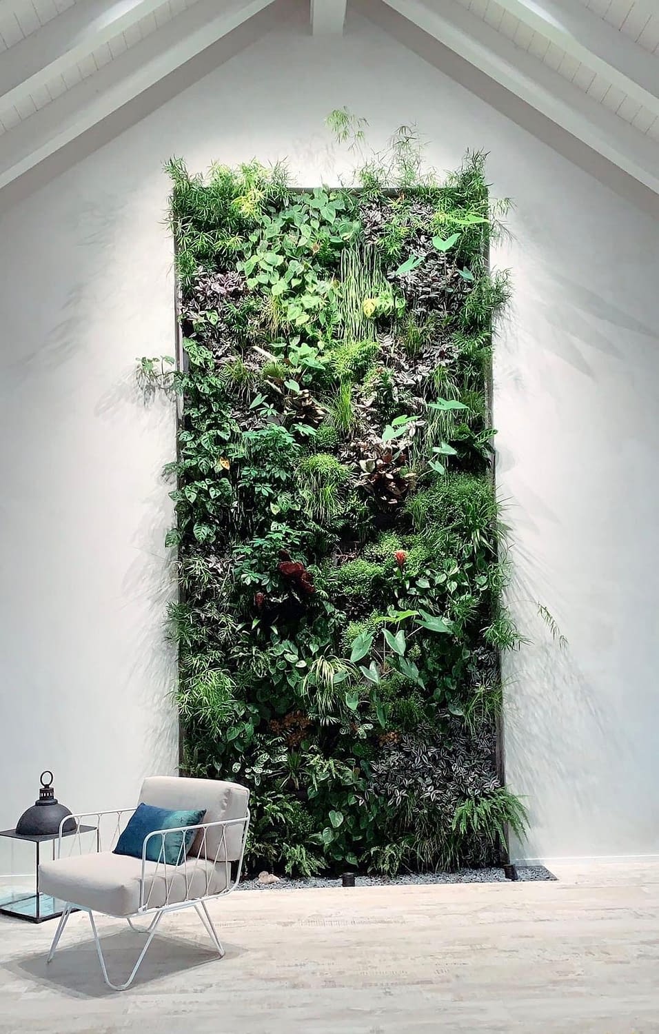 vertical green wall on Plants Which Ones Should I Buy For My Green Wall Nathalies Plant Wall