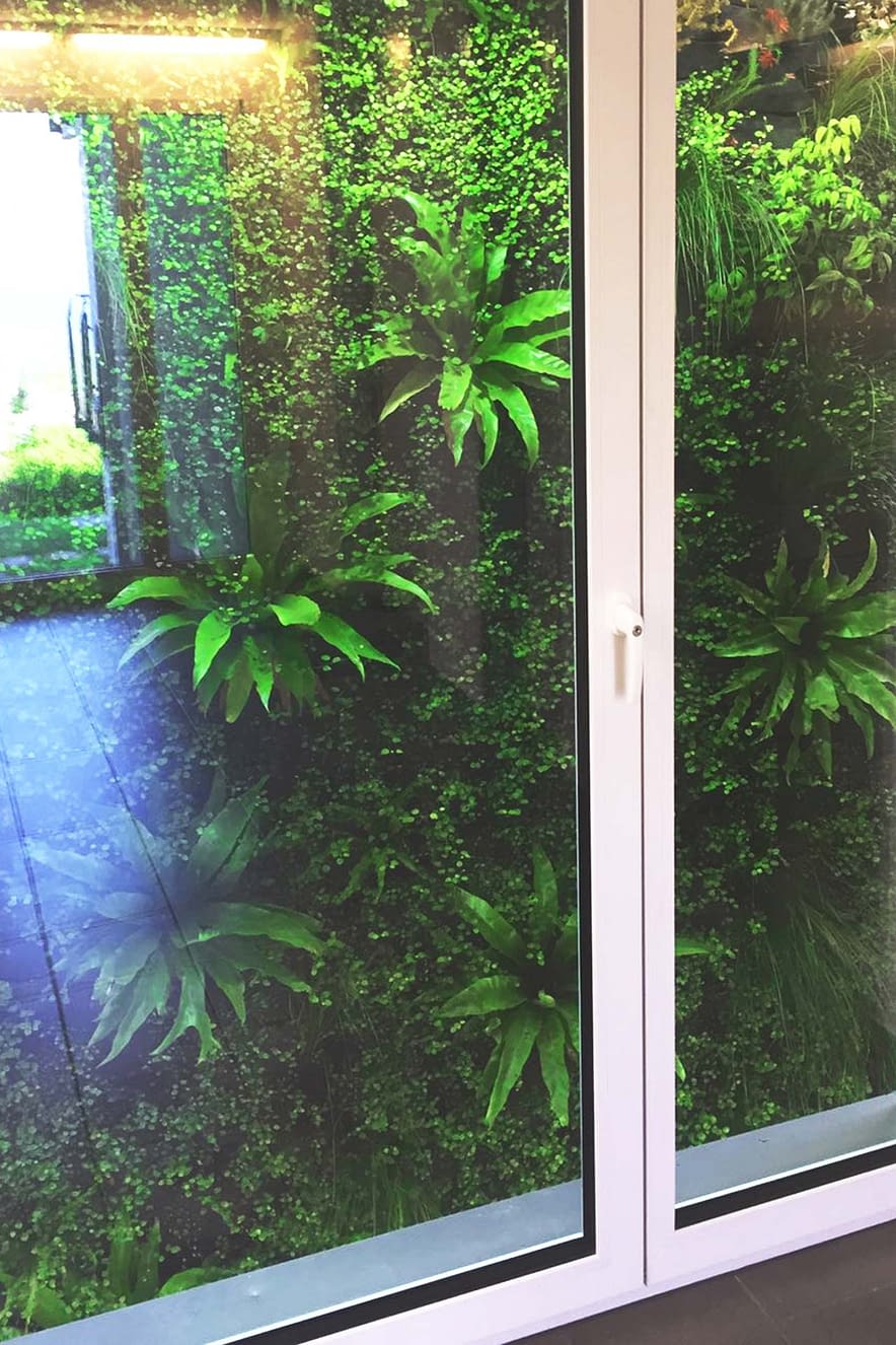 vertical green wall on Two Special Plant Walls Nathalies Plant Wall