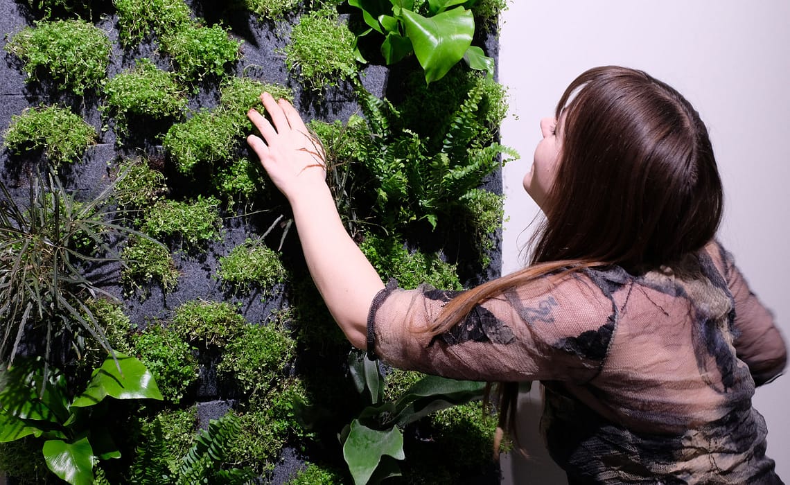 10 tips for greening plant walls Nathalies Plant Wall