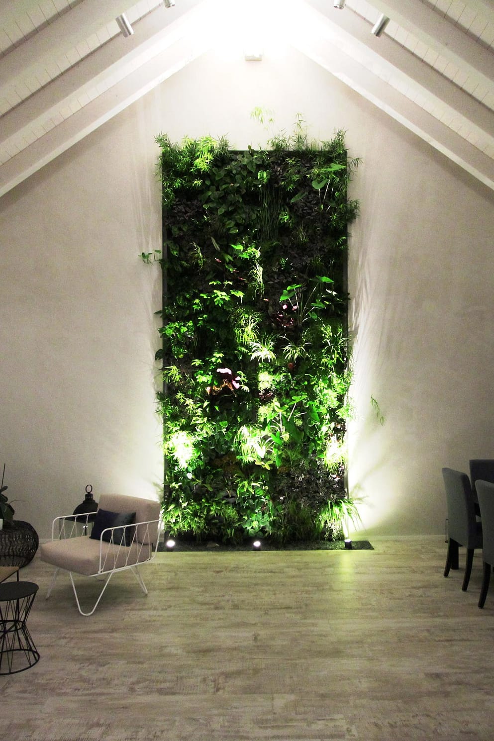 the green plants on the wall night light