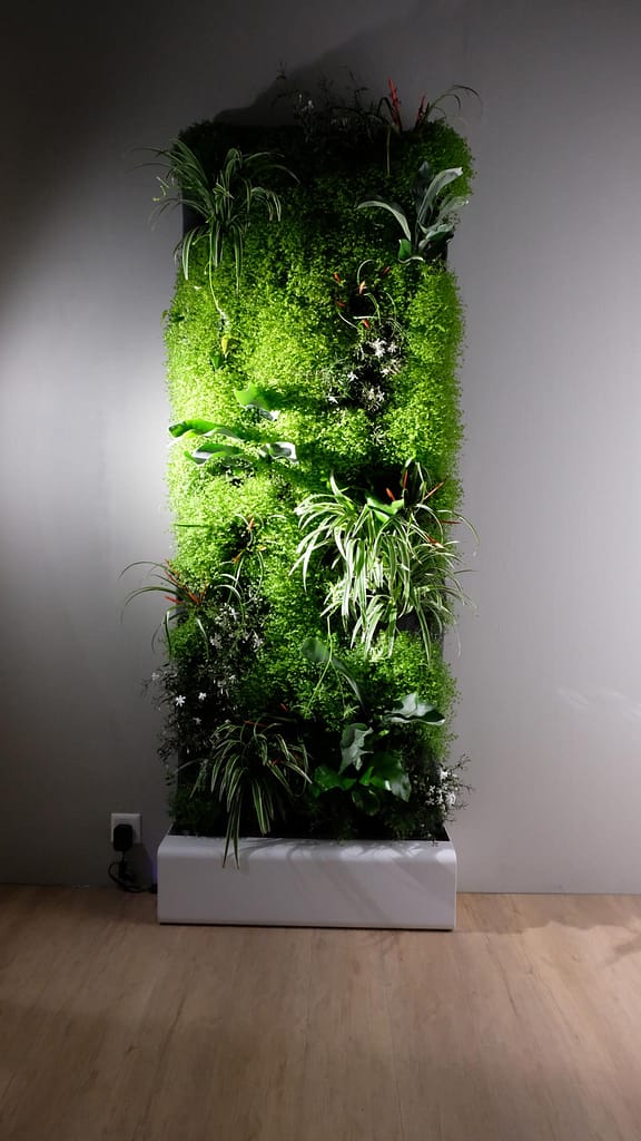 Licht und Pflanzenwand