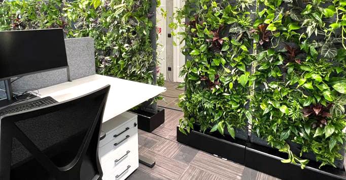 Interessante Doku über Pflanzen am Arbeitsplatz Nathalie's Pflanzenwand