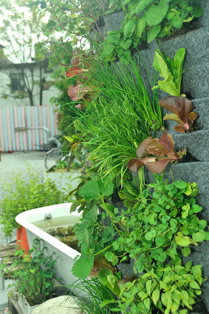 Vertikale Mischkultur - Urban Garden an der Wand Nathalie's Pflanzenwand