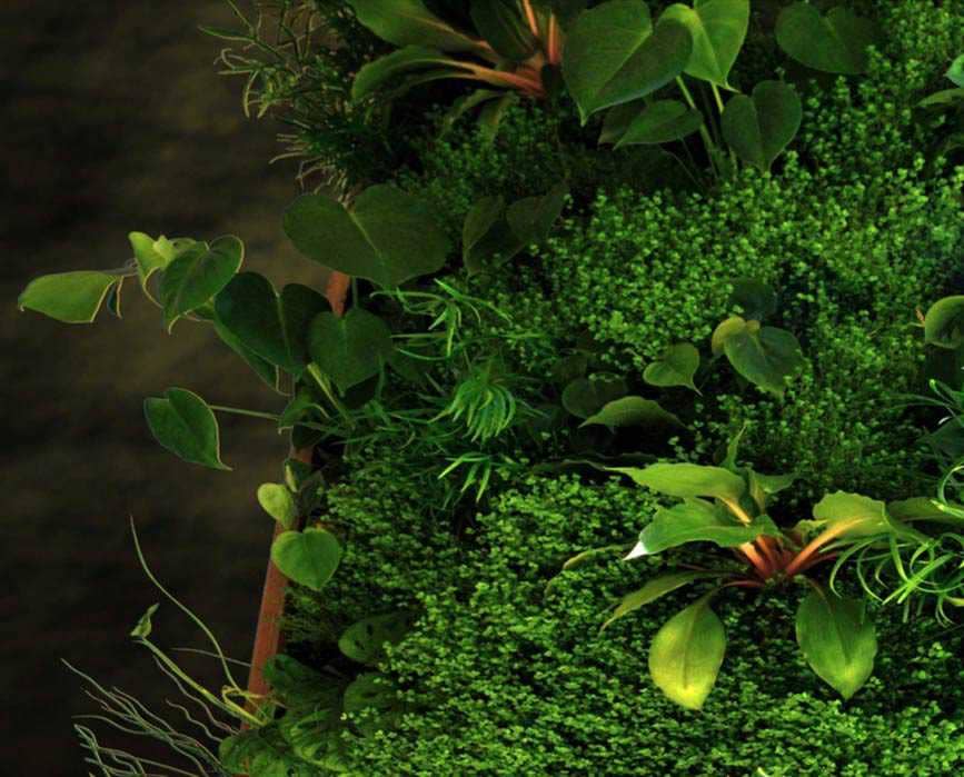 Anleitung Green Wall mit echten Pflanzen